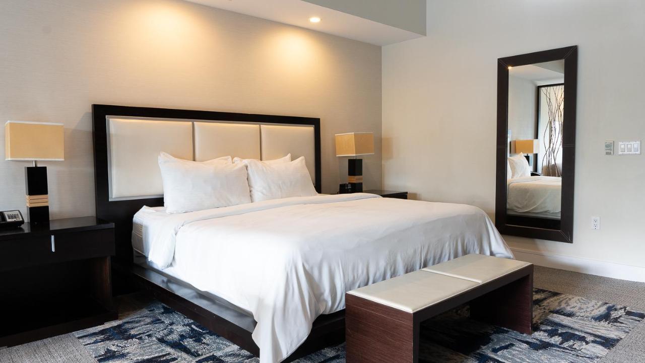 Modern Private Studio - King Bed, Jacuzzi, Balcony And Pool Aparthotel Miami Exterior foto